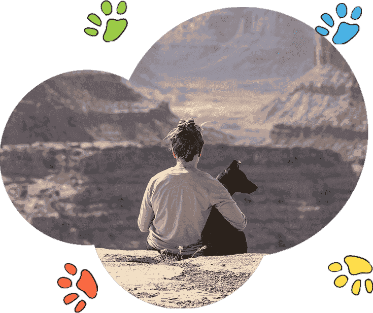 短信测试网站免费